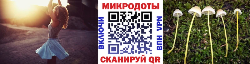 Псилоцибиновые грибы мухоморы дарнет шоп Липецк